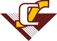 Vadilal Shah - Group Companies